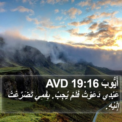 أَيُّوبَ 19:16 AVD Bible Verse Image
