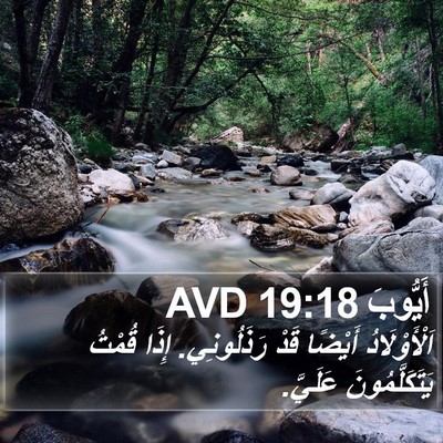 أَيُّوبَ 19:18 AVD Bible Verse Image