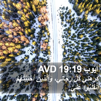 أَيُّوبَ 19:19 AVD Bible Verse Image