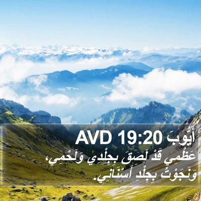 أَيُّوبَ 19:20 AVD Bible Verse Image