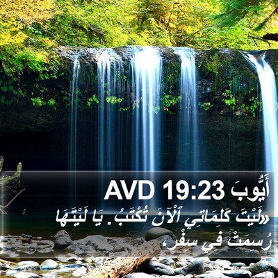 أَيُّوبَ 19:23 AVD Bible Verse Image