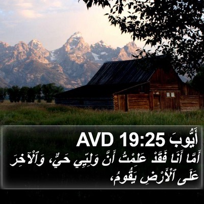 أَيُّوبَ 19:25 AVD Bible Verse Image