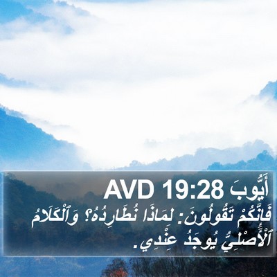 أَيُّوبَ 19:28 AVD Bible Verse Image
