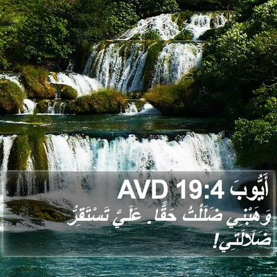 أَيُّوبَ 19:4 AVD Bible Verse Image