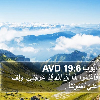 أَيُّوبَ 19:6 AVD Bible Verse Image