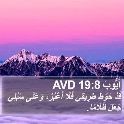 أَيُّوبَ 19:8 AVD Bible Verse Image
