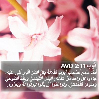 أَيُّوبَ 2:11 AVD Bible Verse Image