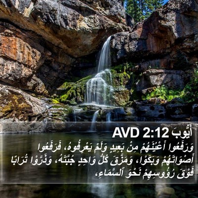 أَيُّوبَ 2:12 AVD Bible Verse Image