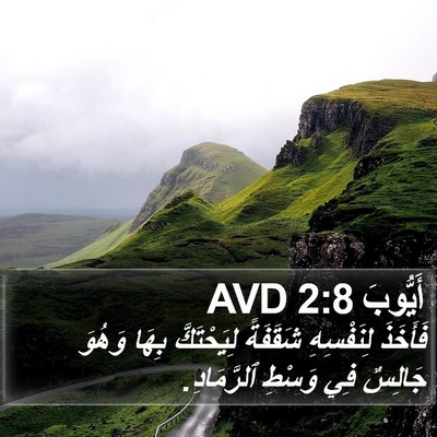 أَيُّوبَ 2:8 AVD Bible Verse Image
