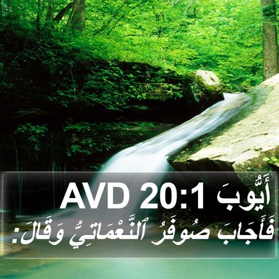 أَيُّوبَ 20:1 AVD Bible Verse Image
