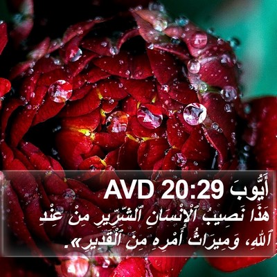 أَيُّوبَ 20:29 AVD Bible Verse Image