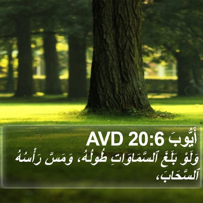 أَيُّوبَ 20:6 AVD Bible Verse Image