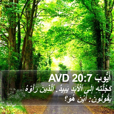 أَيُّوبَ 20:7 AVD Bible Verse Image