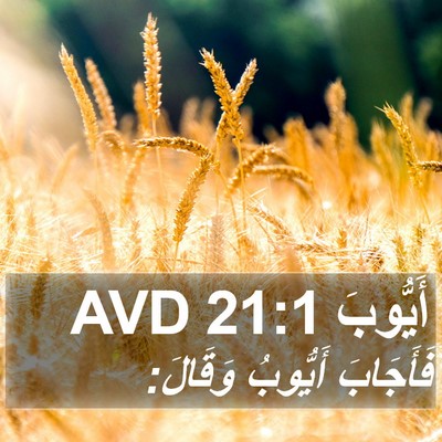 أَيُّوبَ 21:1 AVD Bible Verse Image