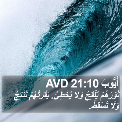 أَيُّوبَ 21:10 AVD Bible Verse Image