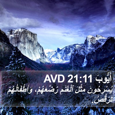 أَيُّوبَ 21:11 AVD Bible Verse Image