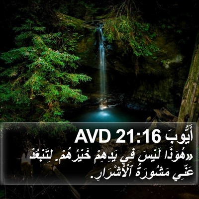 أَيُّوبَ 21:16 AVD Bible Verse Image