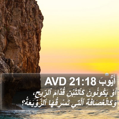 أَيُّوبَ 21:18 AVD Bible Verse Image