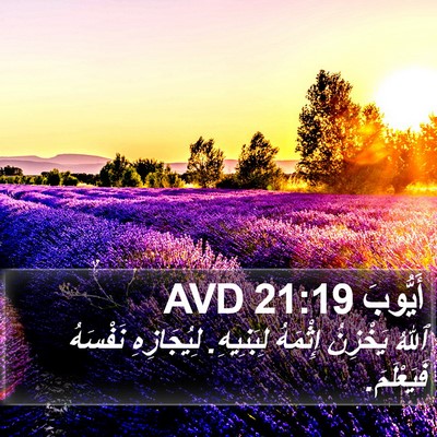 أَيُّوبَ 21:19 AVD Bible Verse Image