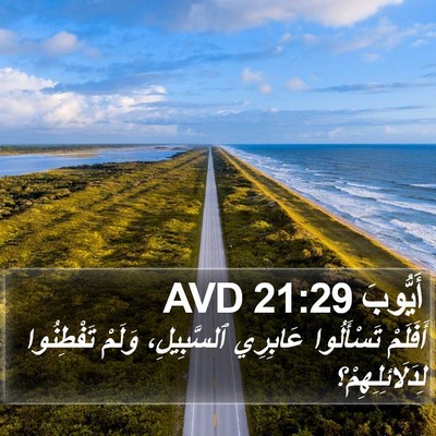 أَيُّوبَ 21:29 AVD Bible Verse Image