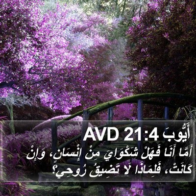 أَيُّوبَ 21:4 AVD Bible Verse Image