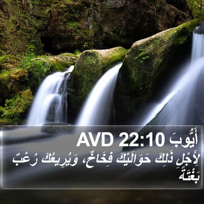 أَيُّوبَ 22:10 AVD Bible Verse Image