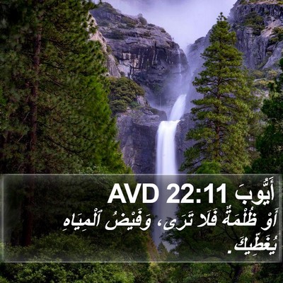 أَيُّوبَ 22:11 AVD Bible Verse Image