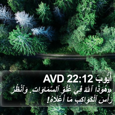أَيُّوبَ 22:12 AVD Bible Verse Image