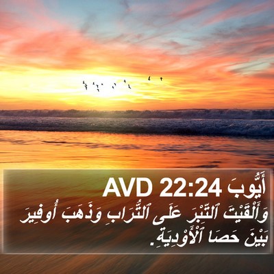 أَيُّوبَ 22:24 AVD Bible Verse Image