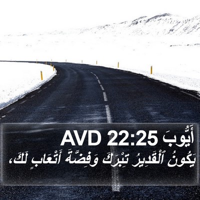 أَيُّوبَ 22:25 AVD Bible Verse Image