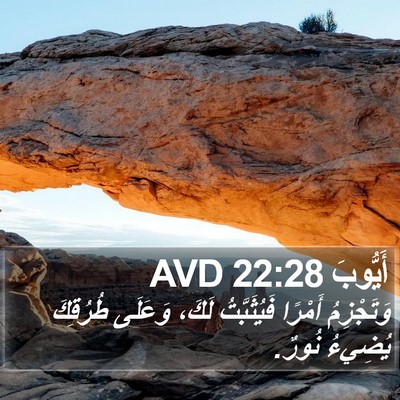 أَيُّوبَ 22:28 AVD Bible Verse Image