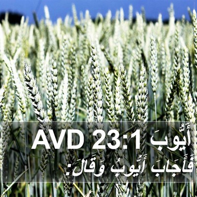 أَيُّوبَ 23:1 AVD Bible Verse Image