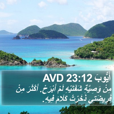 أَيُّوبَ 23:12 AVD Bible Verse Image