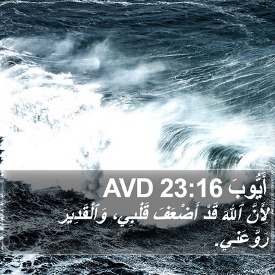 أَيُّوبَ 23:16 AVD Bible Verse Image