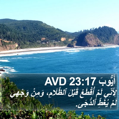 أَيُّوبَ 23:17 AVD Bible Verse Image