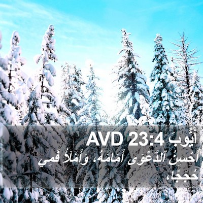 أَيُّوبَ 23:4 AVD Bible Verse Image