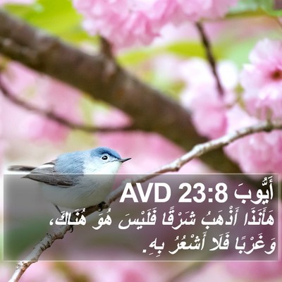 أَيُّوبَ 23:8 AVD Bible Verse Image