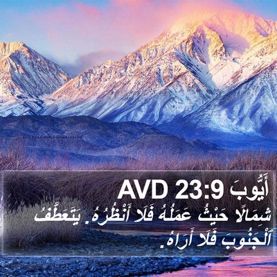أَيُّوبَ 23:9 AVD Bible Verse Image