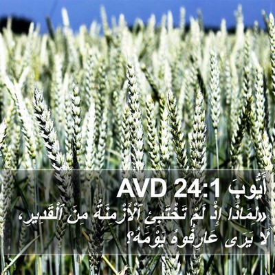 أَيُّوبَ 24:1 AVD Bible Verse Image