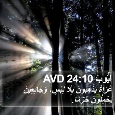 أَيُّوبَ 24:10 AVD Bible Verse Image