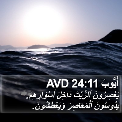 أَيُّوبَ 24:11 AVD Bible Verse Image
