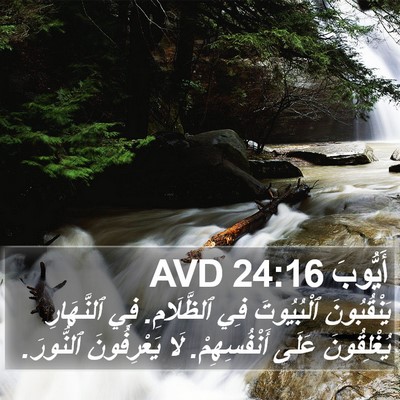 أَيُّوبَ 24:16 AVD Bible Verse Image