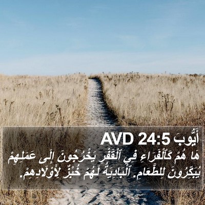 أَيُّوبَ 24:5 AVD Bible Verse Image