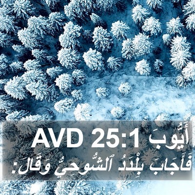 أَيُّوبَ 25:1 AVD Bible Verse Image