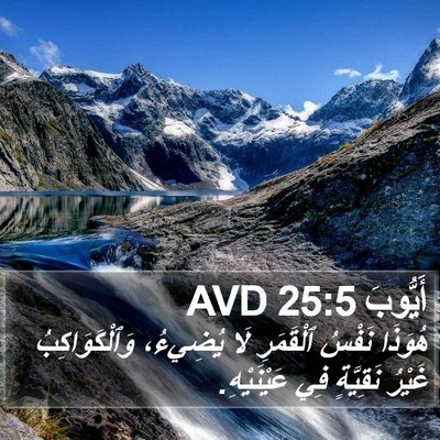 أَيُّوبَ 25:5 AVD Bible Verse Image