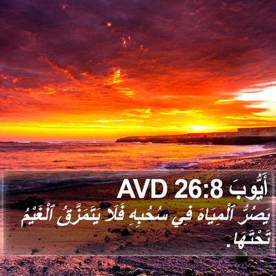أَيُّوبَ 26:8 AVD Bible Verse Image
