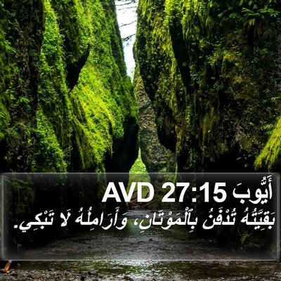 أَيُّوبَ 27:15 AVD Bible Verse Image