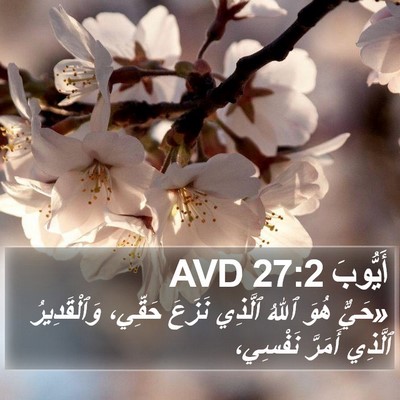 أَيُّوبَ 27:2 AVD Bible Verse Image