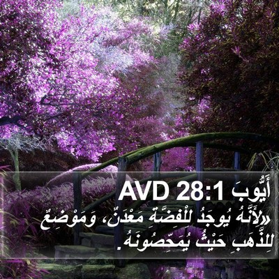 أَيُّوبَ 28:1 AVD Bible Verse Image