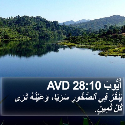 أَيُّوبَ 28:10 AVD Bible Verse Image